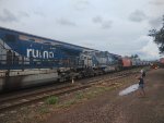 RUMO 2523